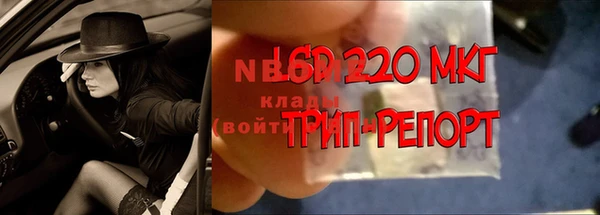 гидра Крымск