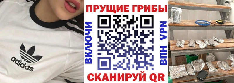 mega зеркало  Кинель  Псилоцибиновые грибы ЛСД 