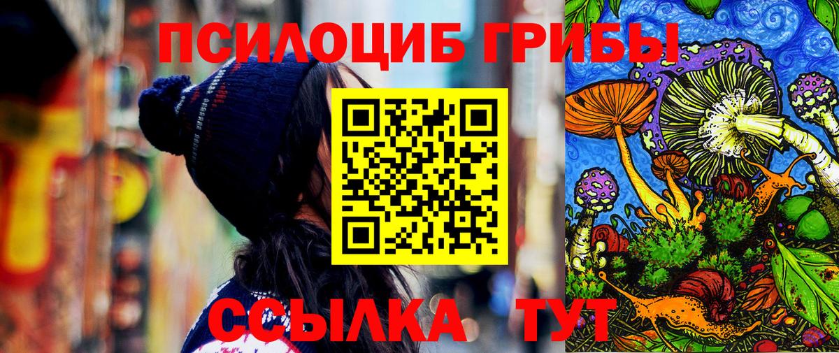 Кинель  Галлюциногенные грибы Cubensis  Псилоцибиновые грибы GOLDEN TEACHER  Вход с VPN 